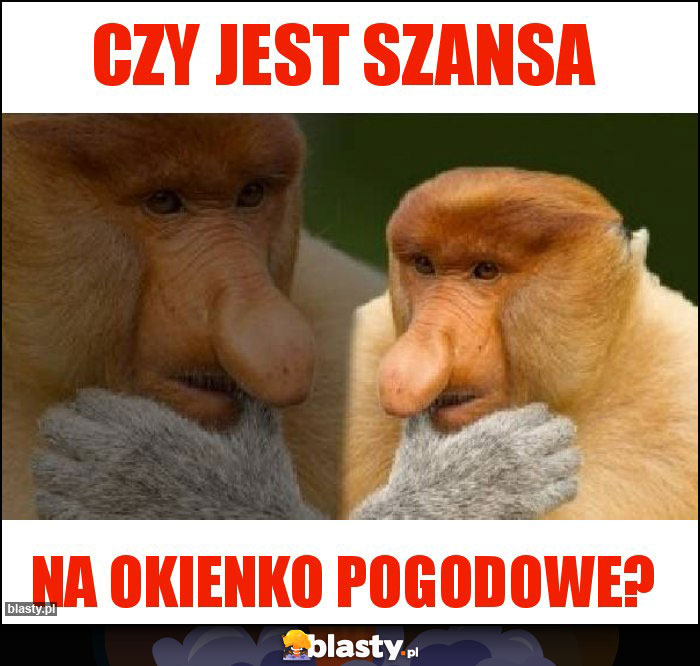 Czy jest szansa