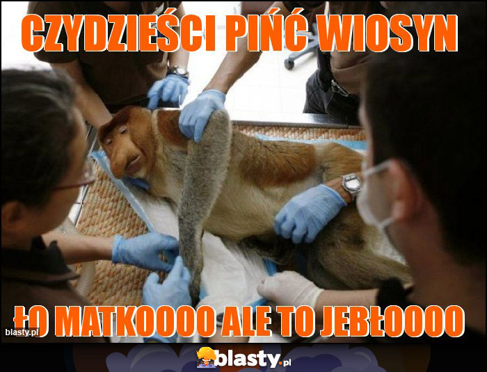 Czydzieści pińć wiosyn