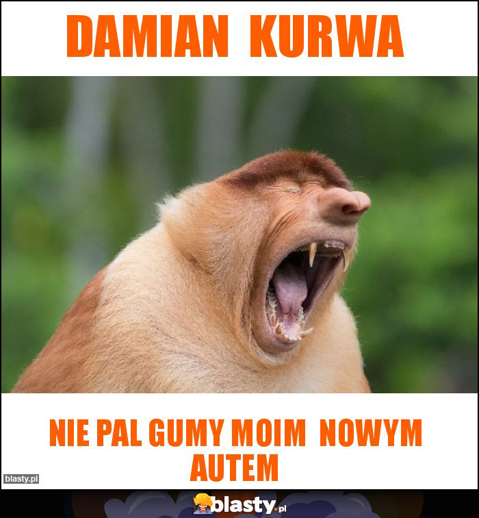 DAMIAN  KURWA