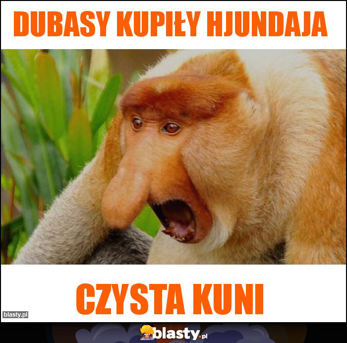 Dubasy kupiły Hjundaja