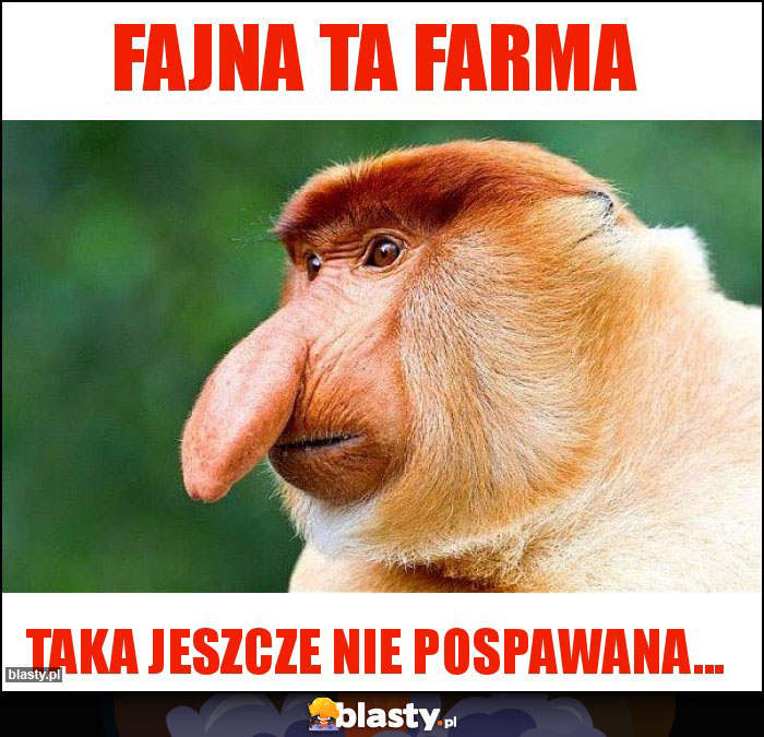 Fajna ta Farma