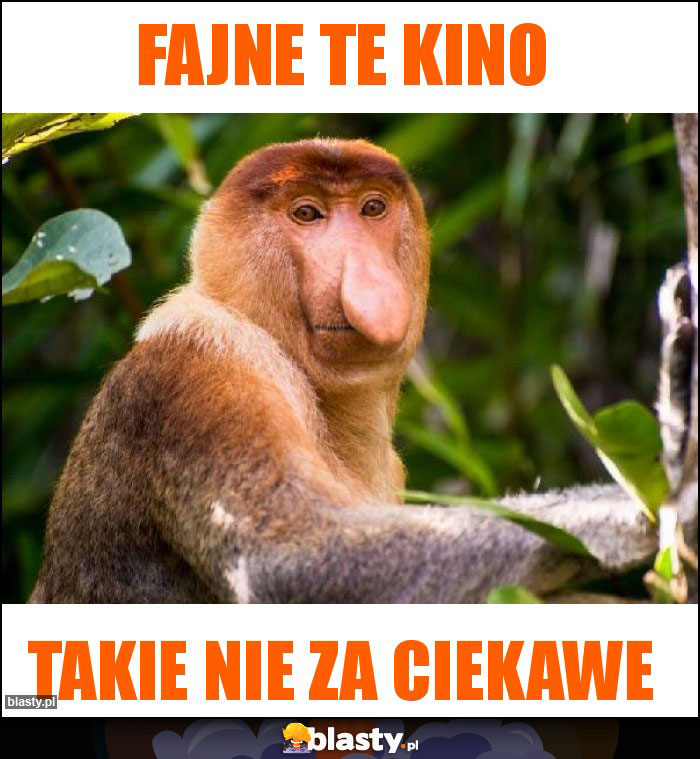 FAJNE TE KINO