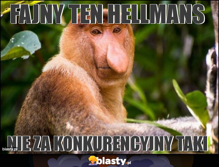 FAJNY TEN HELLMANS