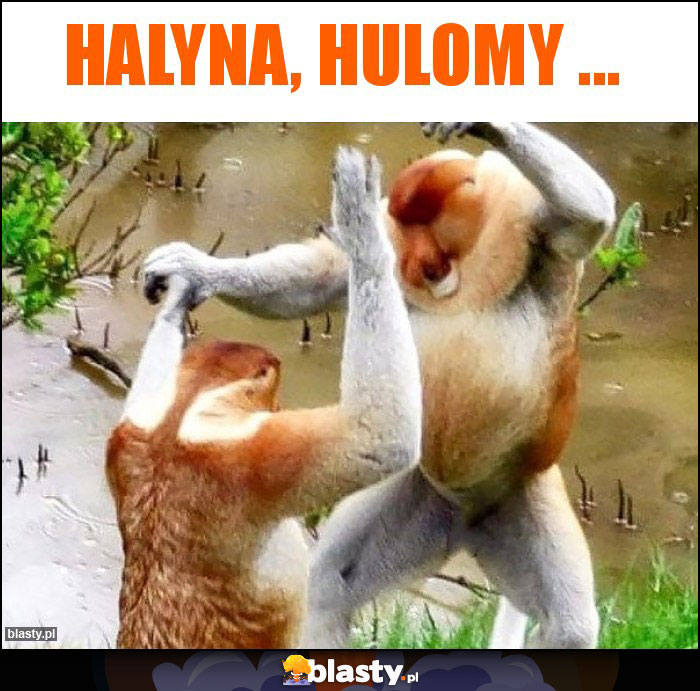 Halyna, hulomy ...