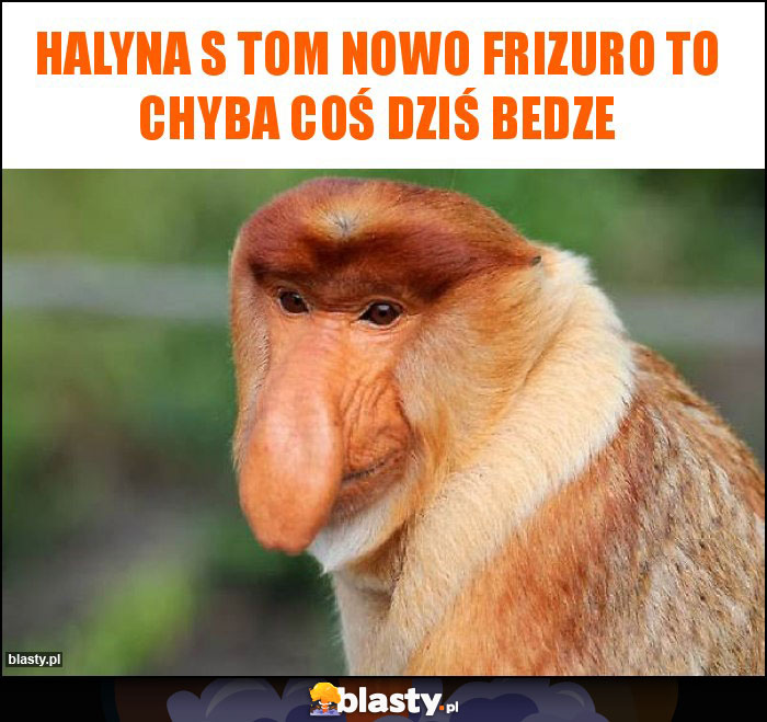 Halyna s tom nowo frizuro to chyba coś dziś bedze