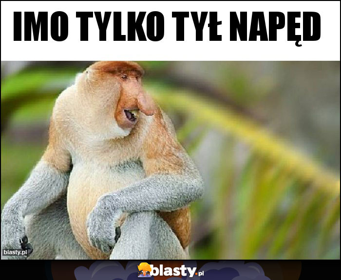 Imo tylko tył napęd