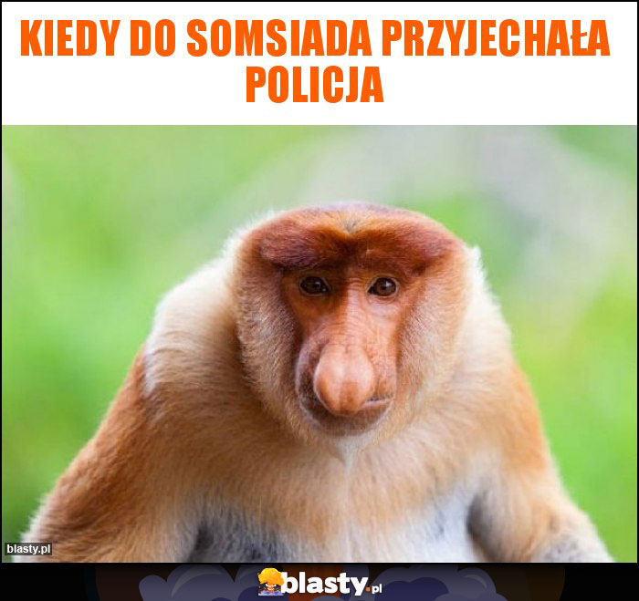 Kiedy do somsiada przyjechała policja