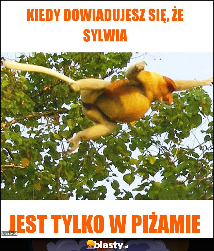 Kiedy dowiadujesz się, że Sylwia