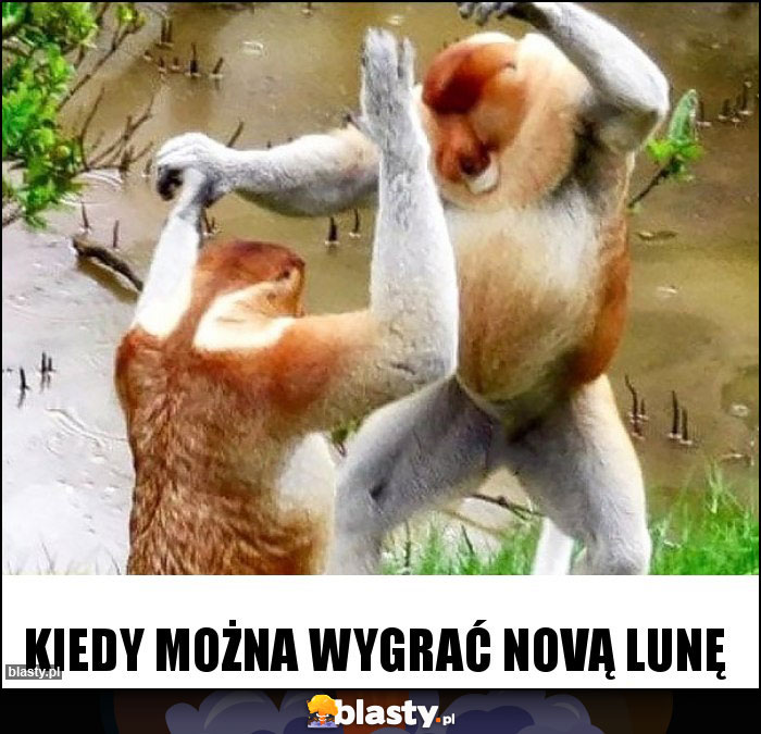 Kiedy można wygrać Novą Lunę