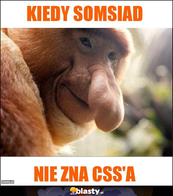 kiedy somsiad