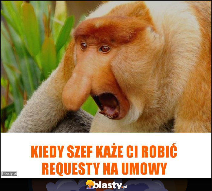 KIEDY SZEF KAŻE CI ROBIĆ REQUESTY NA UMOWY