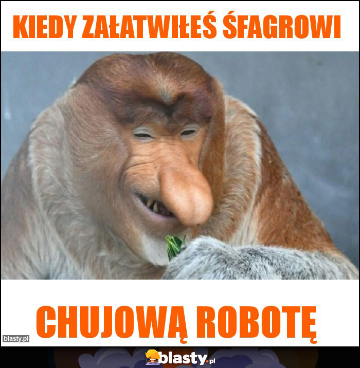 Kiedy załatwiłeś śfagrowi