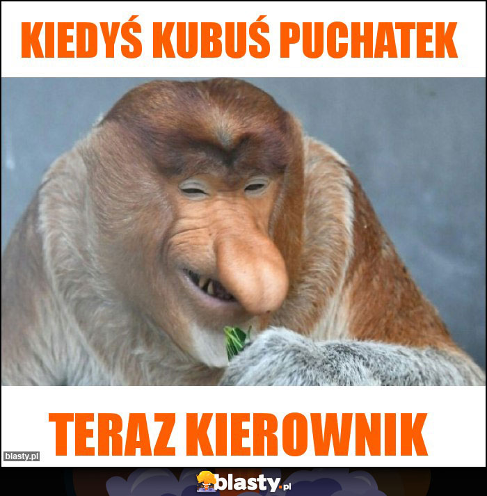 Kiedyś Kubuś puchatek