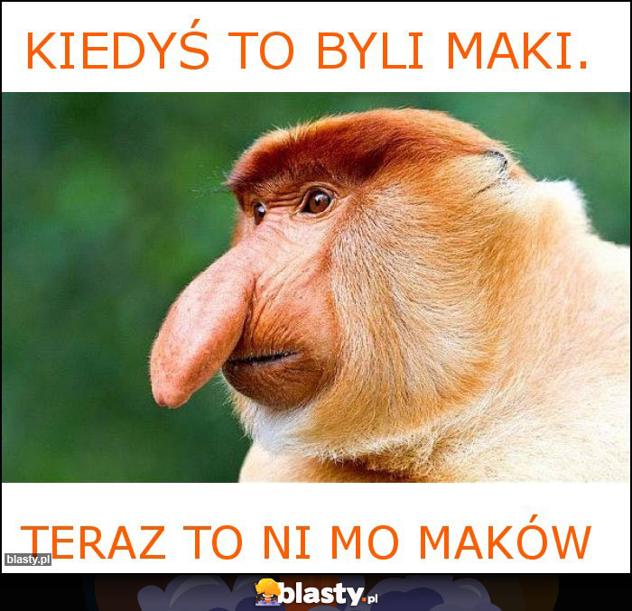 Kiedyś to byli maki.