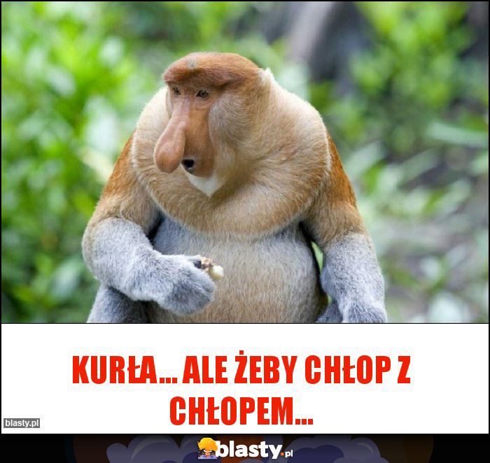 Kurła... ale żeby chłop z chłopem...