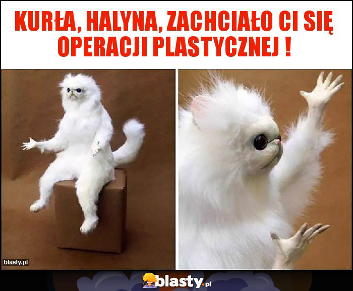 Kurła, Halyna, zachciało Ci się operacji plastycznej !