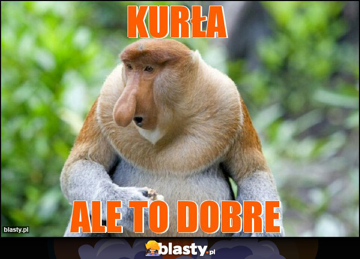 Kurła