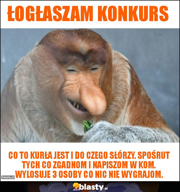 ŁOGŁASZAM KONKURS