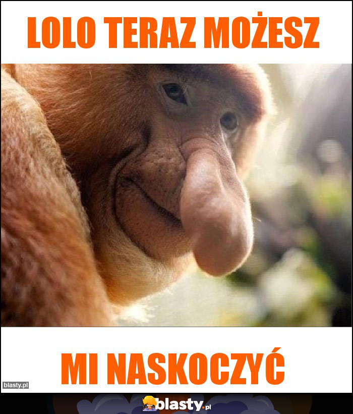 Lolo teraz możesz