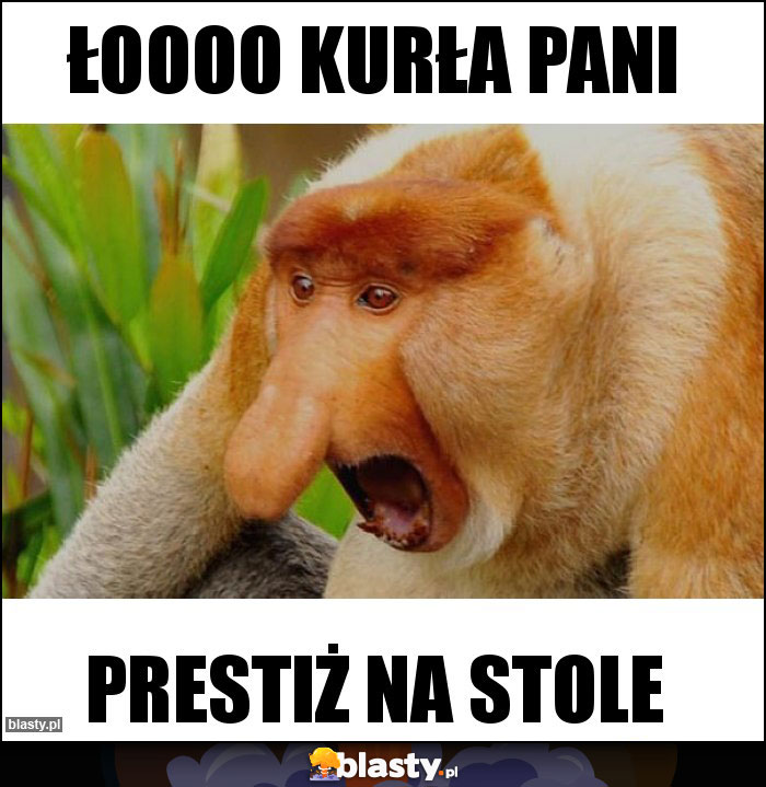 Łoooo kurła pani