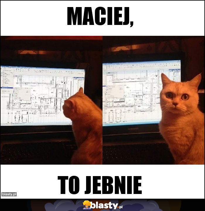 MACIEJ,