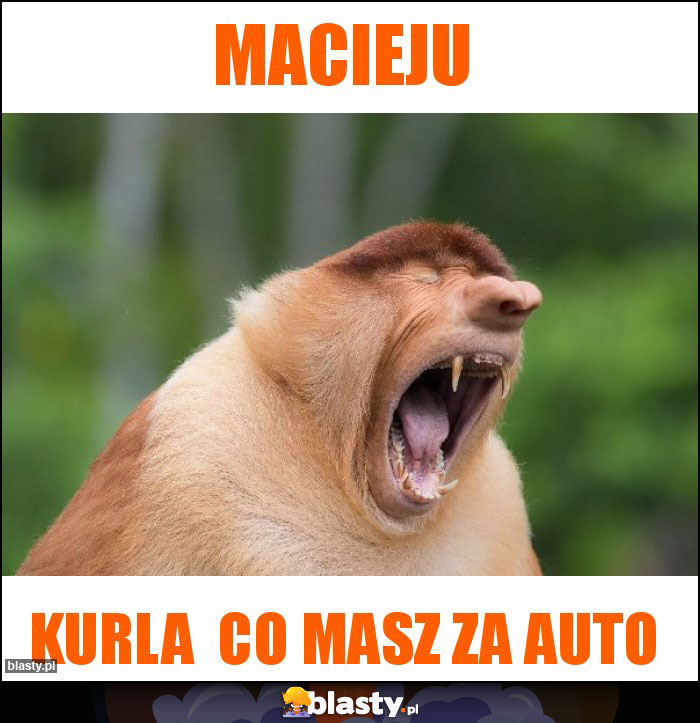 macieju