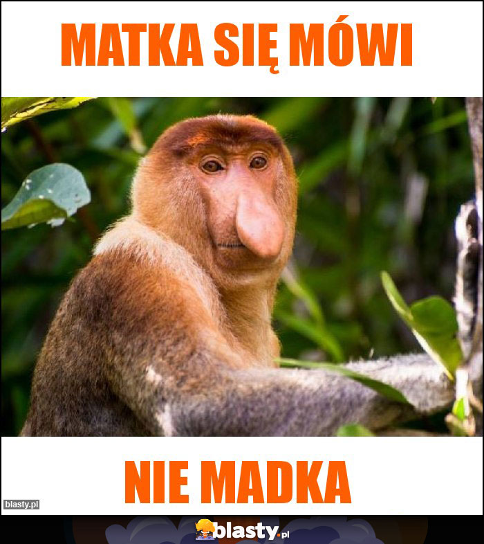 MATKA SIĘ MÓWI