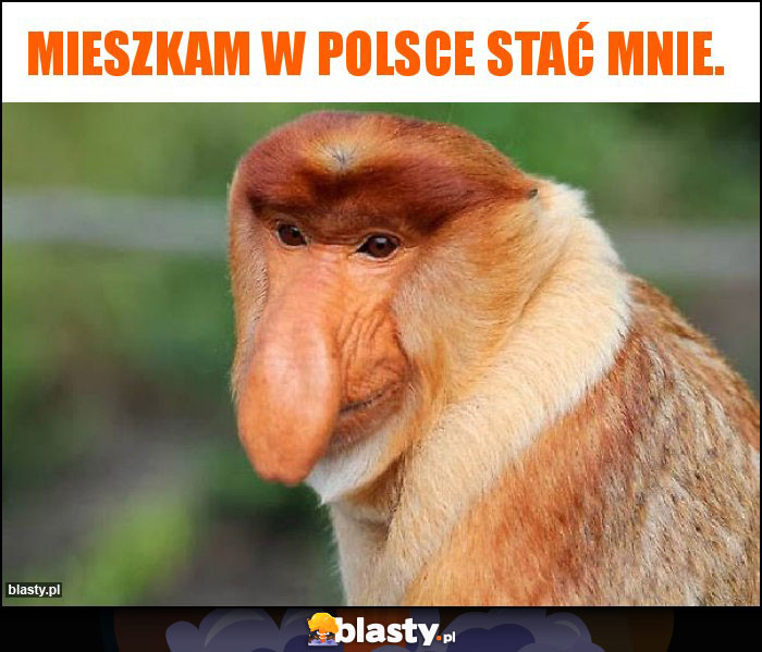 Mieszkam w Polsce stać mnie.