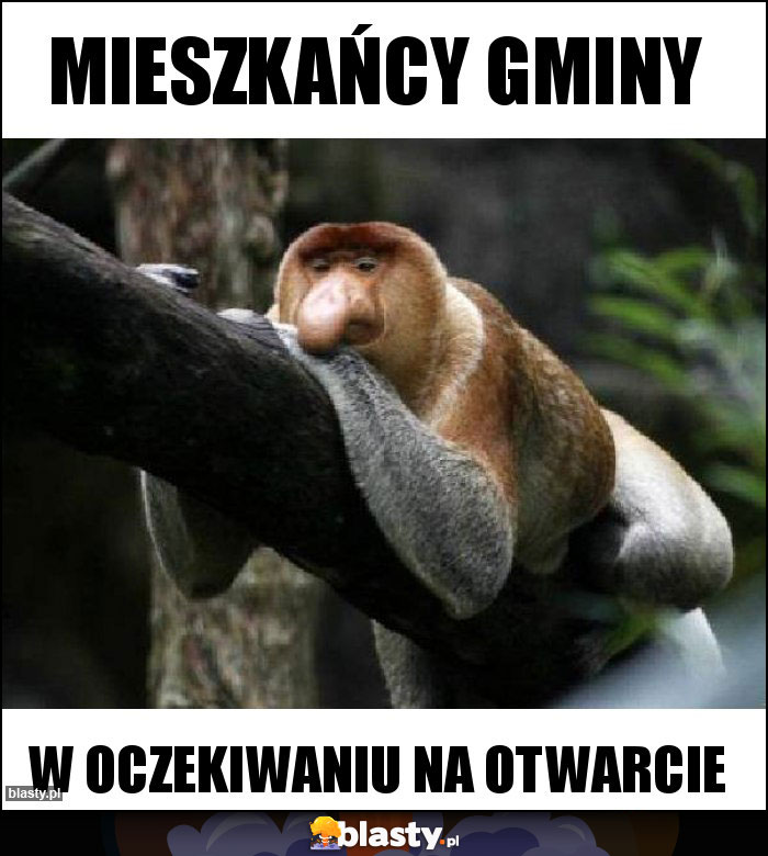 Mieszkańcy gminy