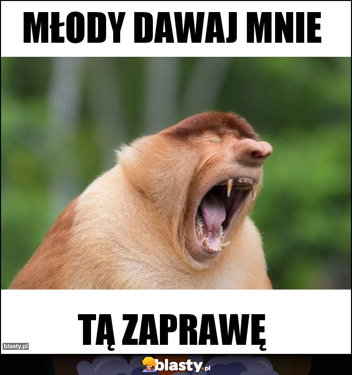 Młody dawaj mnie