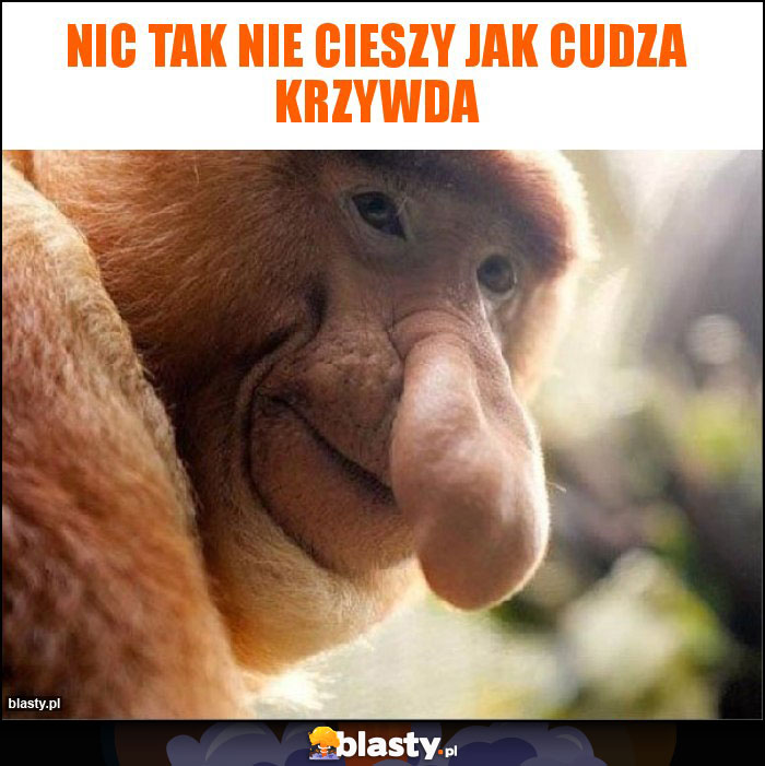 Nic tak nie cieszy jak cudza krzywda