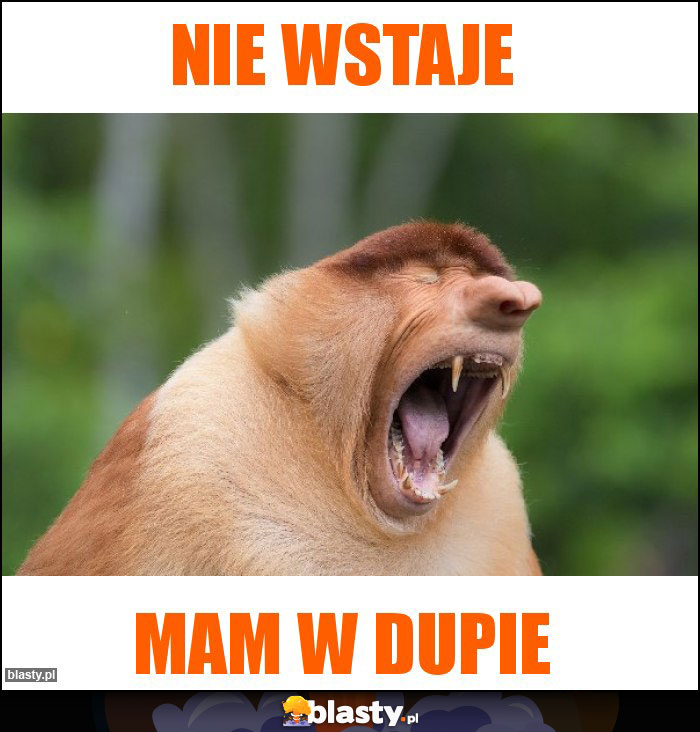 Nie wstaje