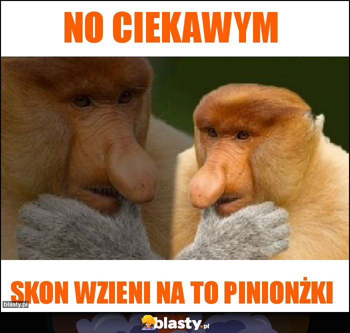 no ciekawym