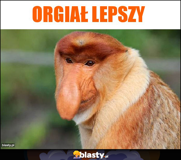 ORGIAŁ LEPSZY