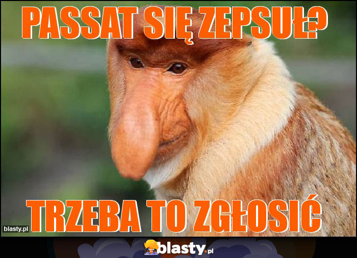 passat się zepsuł?