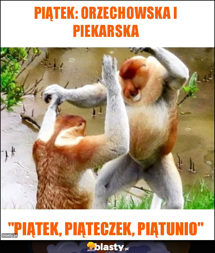 Piątek: orzechowska i piekarska