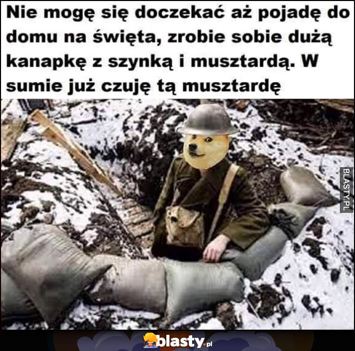 Pies doge, nie mogę się doczekać aż pojadę do domu na święta, zrobię sobie kanapkę z szynką i musztardą, w sumie już czuję musztardę