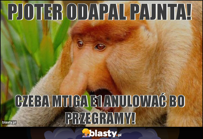 Pjoter odapal pajnta!