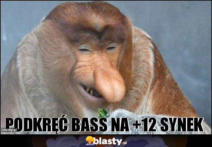 Podkręć bass na +12 synek