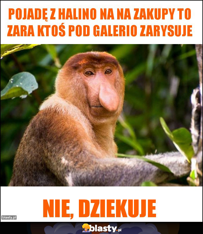 Pojadę z halino na na zakupy to Zara ktoś pod galerio zarysuje