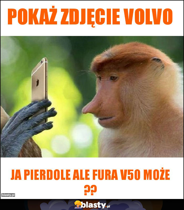 Pokaż zdjęcie volvo