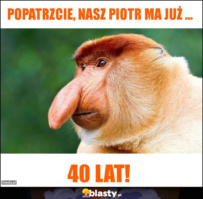 Popatrzcie, nasz Piotr ma już ...