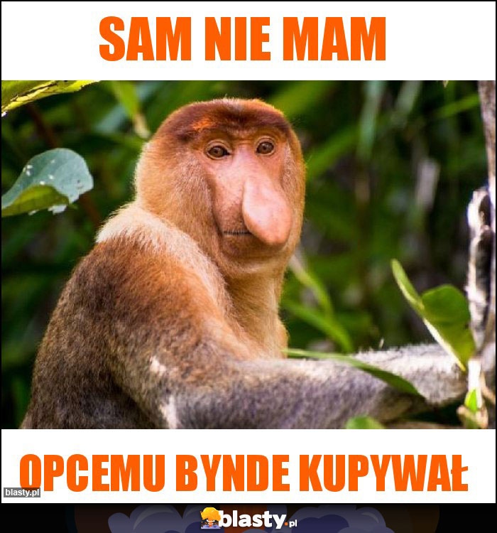 Sam nie mam