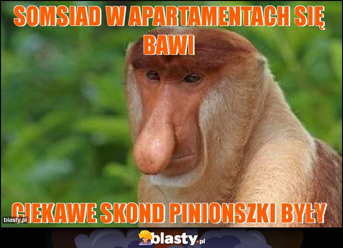 Somsiad w apartamentach się bawi