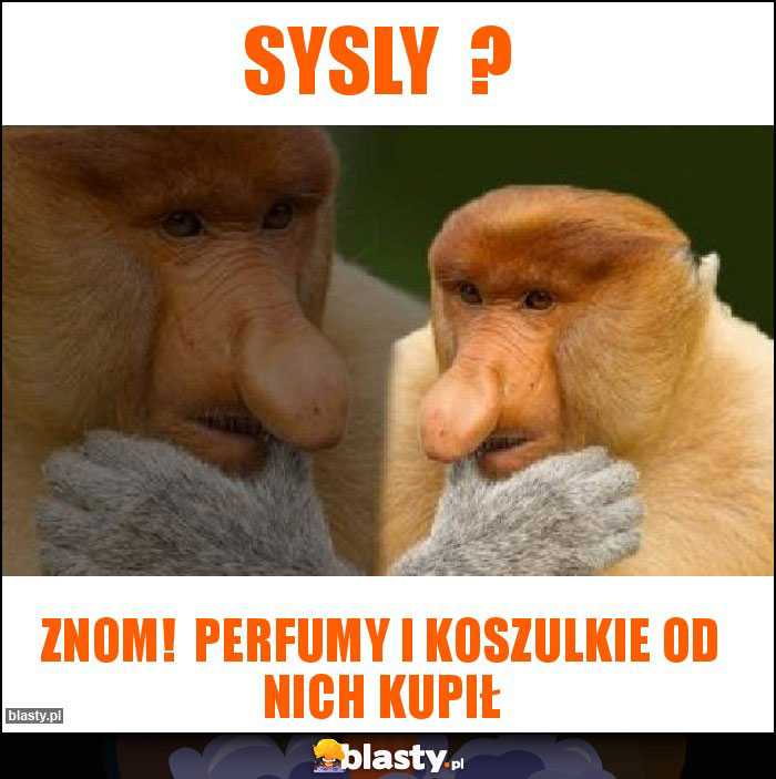 SYSLY  ?