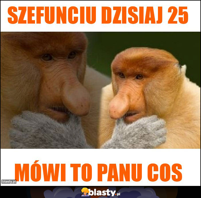 Szefunciu dzisiaj 25