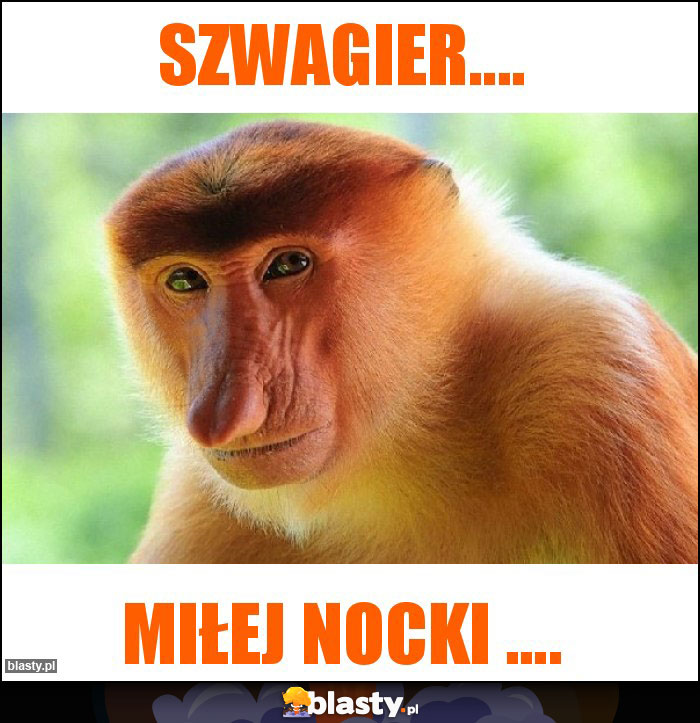 Szwagier....