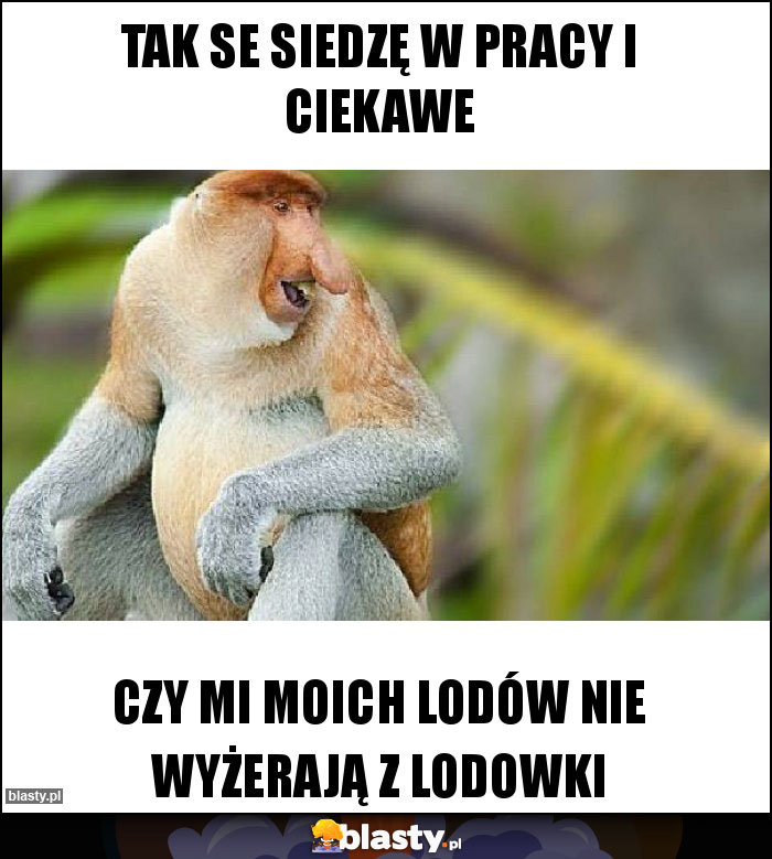 Tak se siedzę w pracy i ciekawe