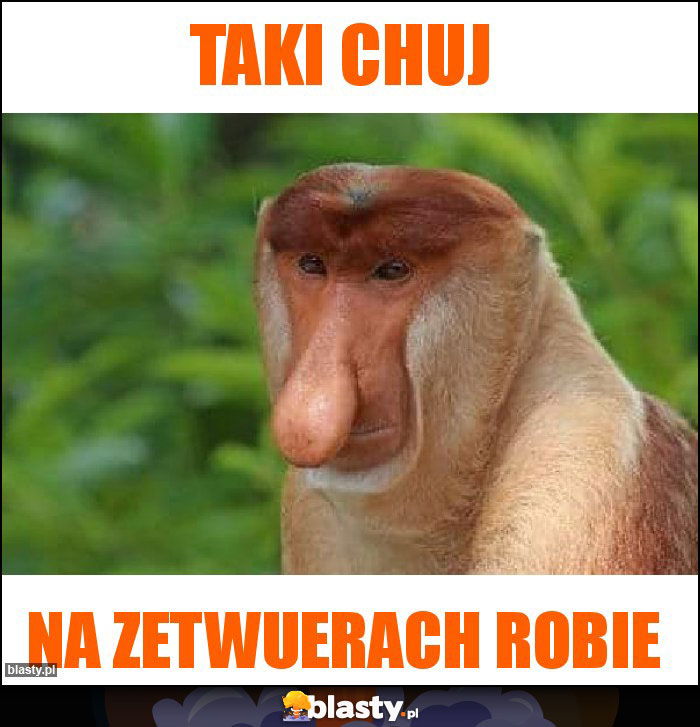 Taki chuj