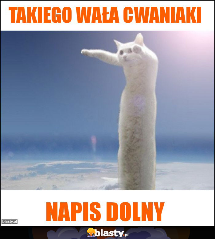 Takiego wała cwaniaki